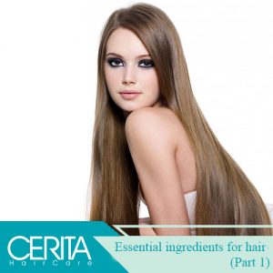 Essential ingredients for hair growth (Part 1)