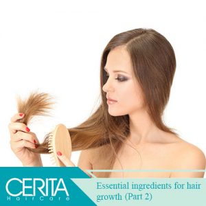 Essential Ingredients For Hair Growth ( Part 2 )